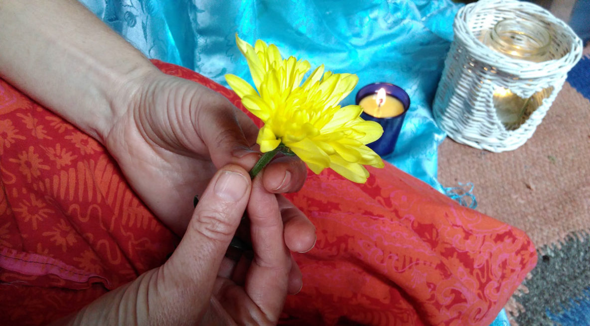 hand holding a yellow flower